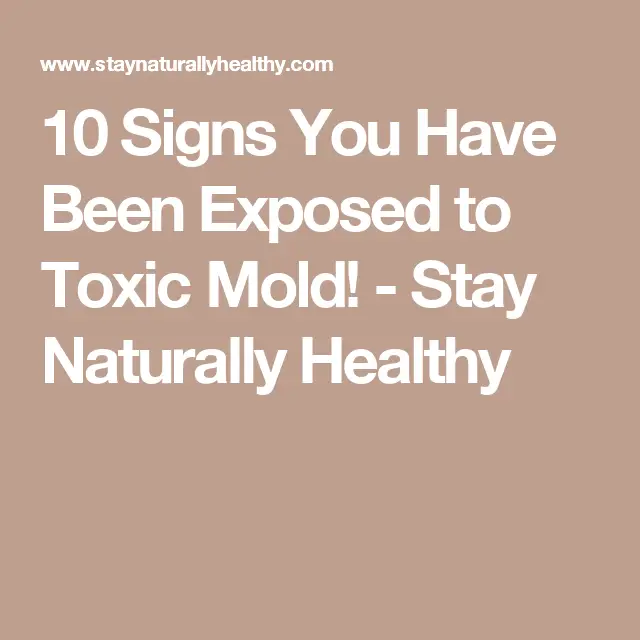 10 Signs You Have Been Exposed to Toxic Mold! (With images)