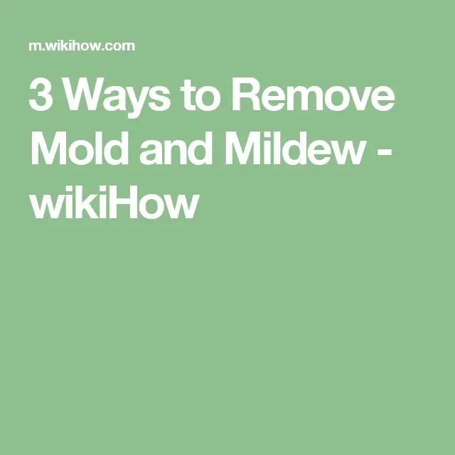 10 Ways to Remove Mold and Mildew