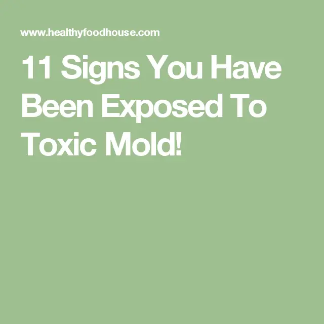 11 Signs You Have Been Exposed To Toxic Mold!