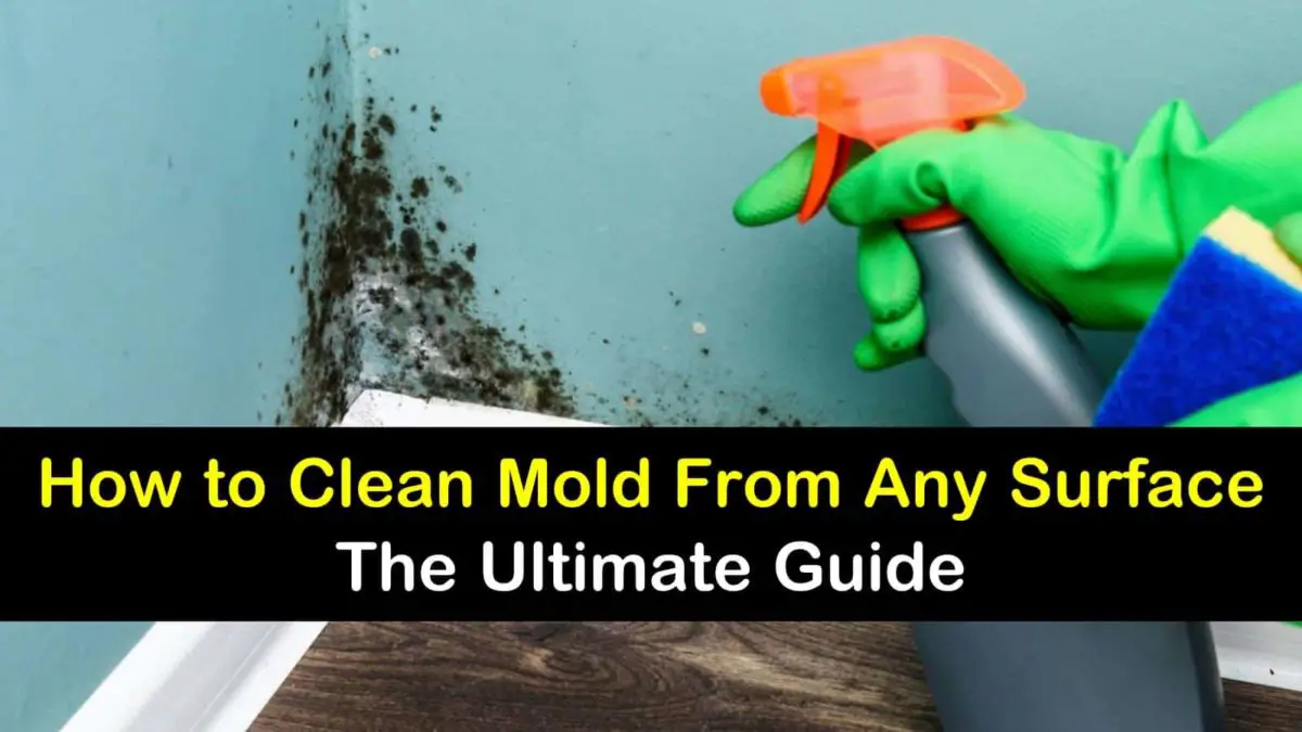 14+ Amazingly Easy Ways to Clean Mold