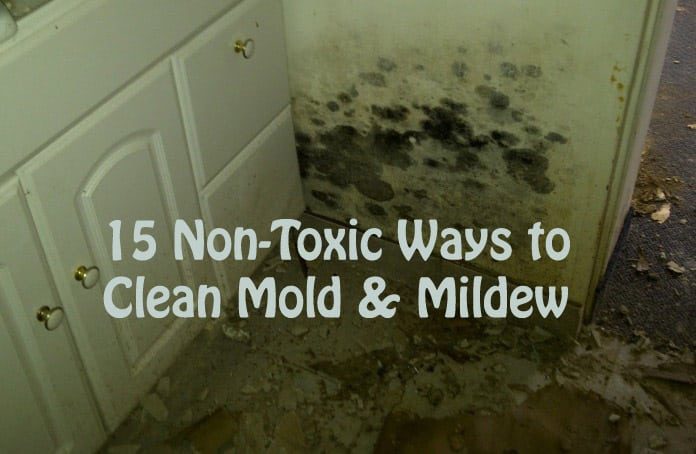 15 Effective Home Remedies to Get Rid of Mold and Mildew in House