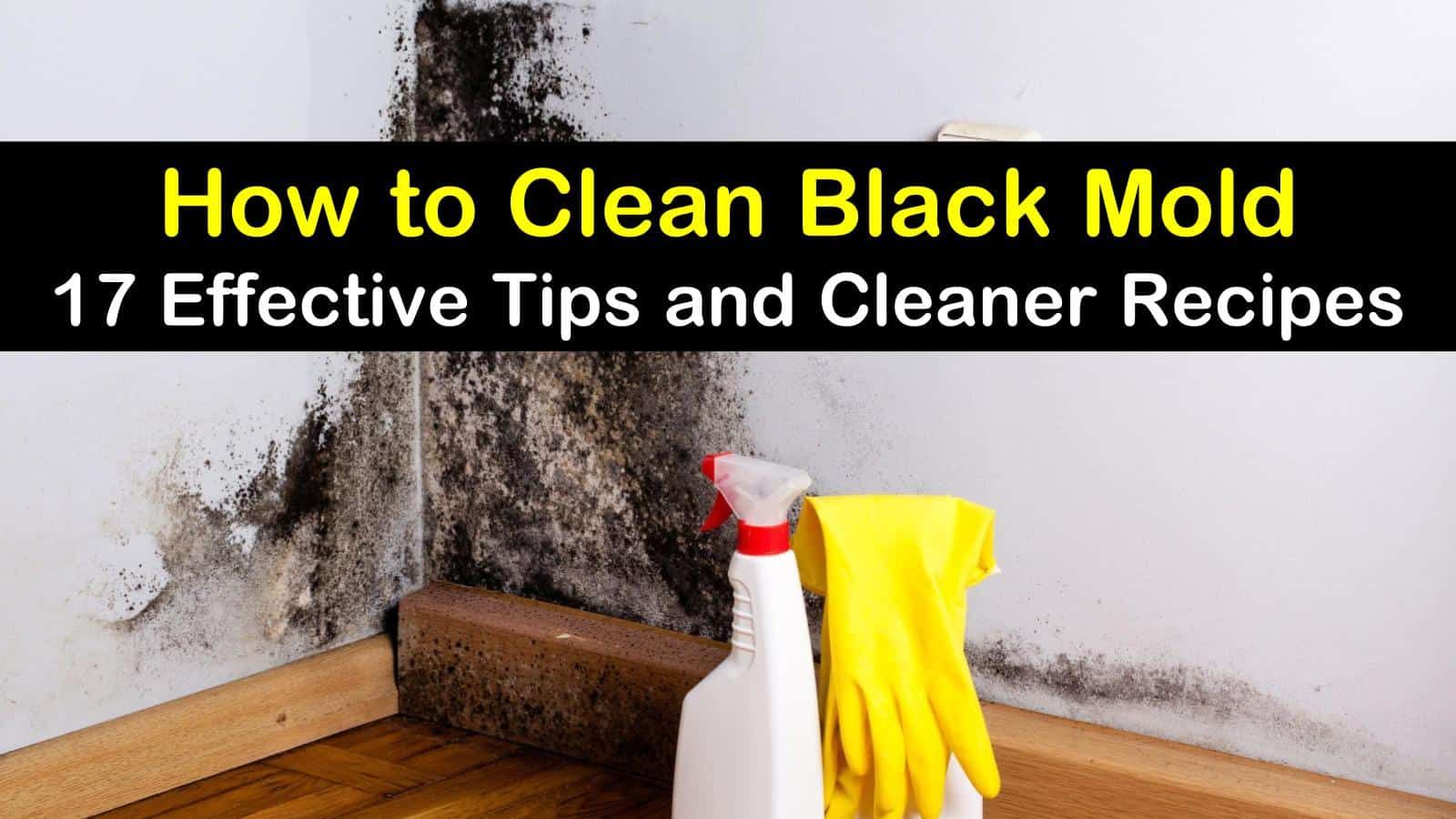 17 Effective Ways to Clean Black Mold