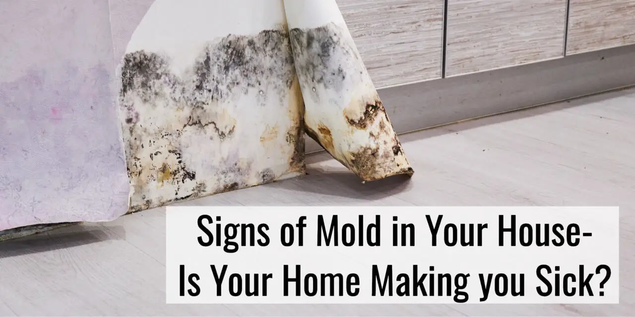 19 Signs of Mold in Your House
