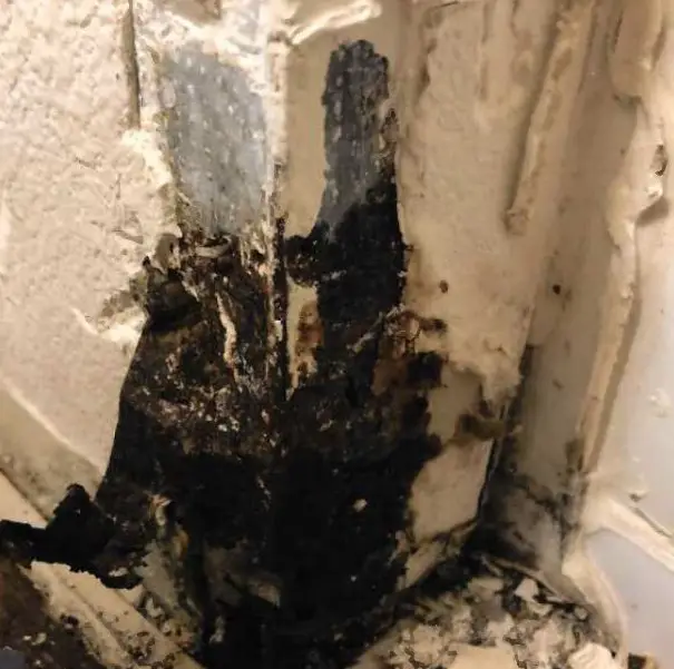 2 Marine Families Sue Over High Levels of Mold in Military Housing ...