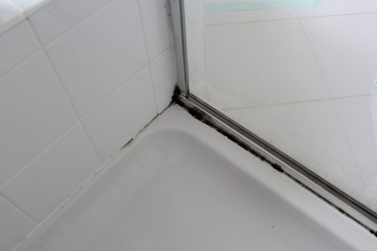 3 Easy Methods To Get Rid Of Black Mold In The Bathroom ...