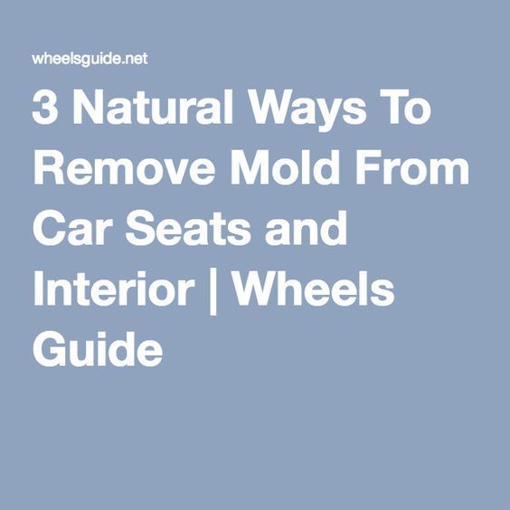 3 Natural Ways To Remove Mold From Car Seats and Interior
