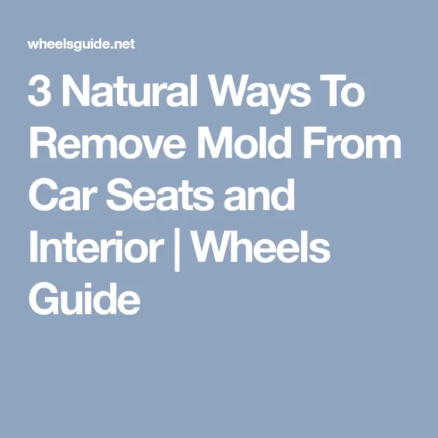 3 Natural Ways To Remove Mold From Car Seats and Interior