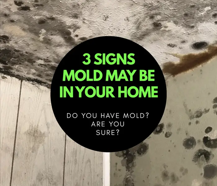 3 Signs Mold May Be In Your House