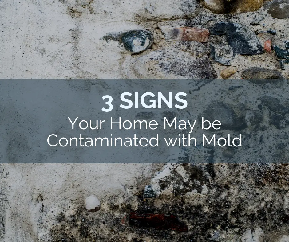 3 Signs Your Home May be Contaminated with Mold