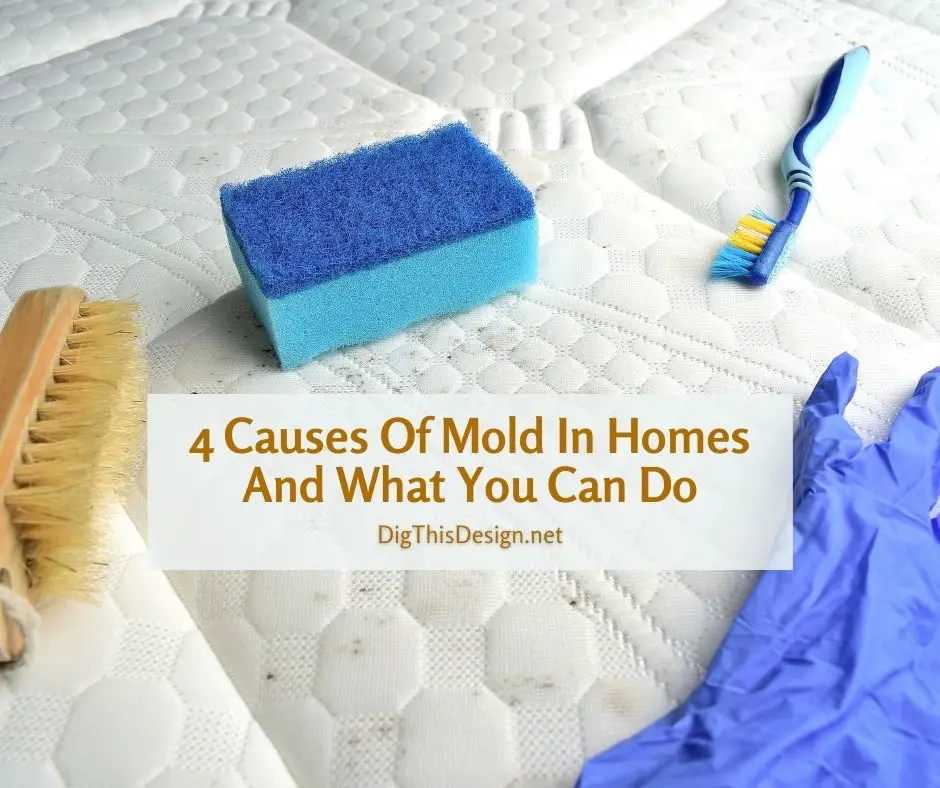 4 Causes Of Mold In Homes And What You Can Do