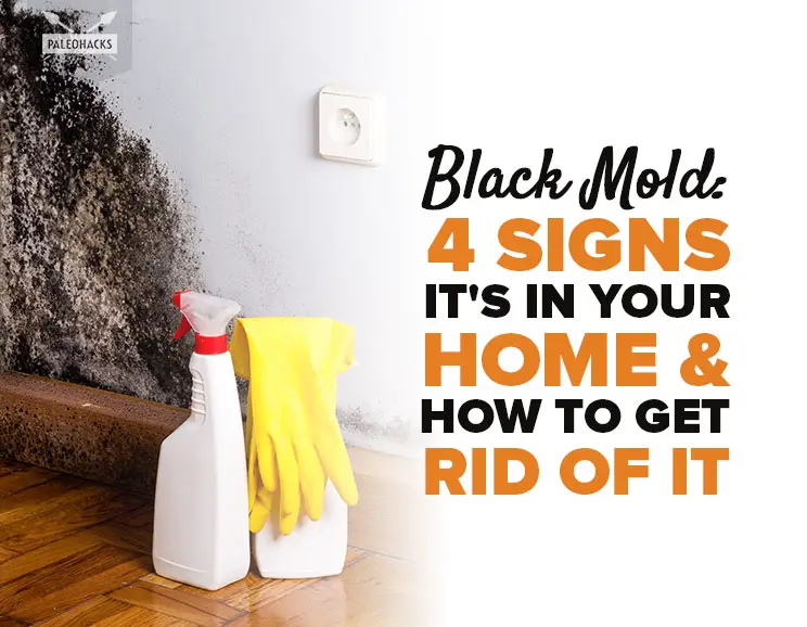 4 Signs Your Home Has Toxic Black Mold & How to Get Rid of It
