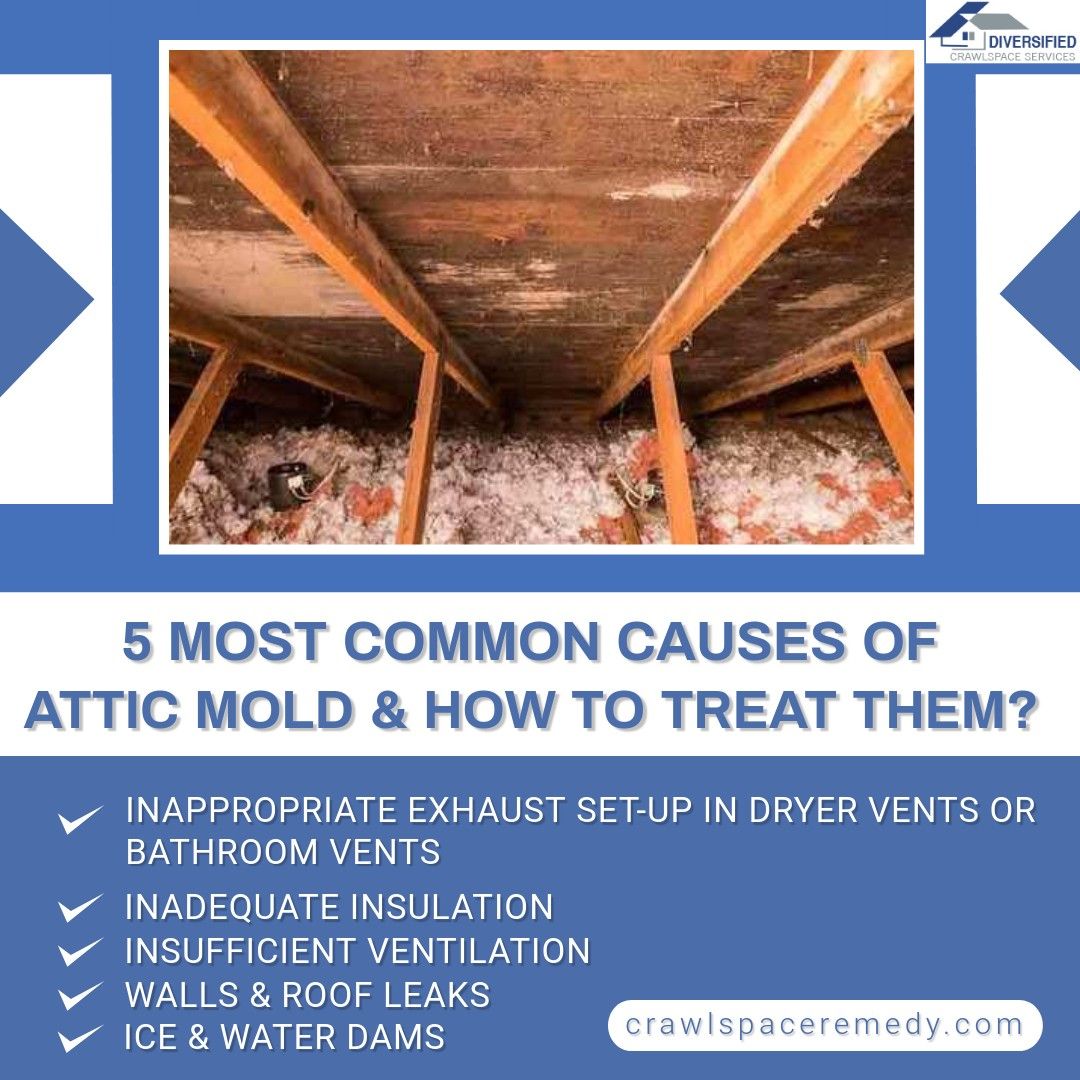5 Most Common Causes of Attic Mold &  How to Treat Them? in ...