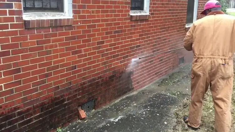 5 Natural Ways To Clean &  Remove Mold From Bricks