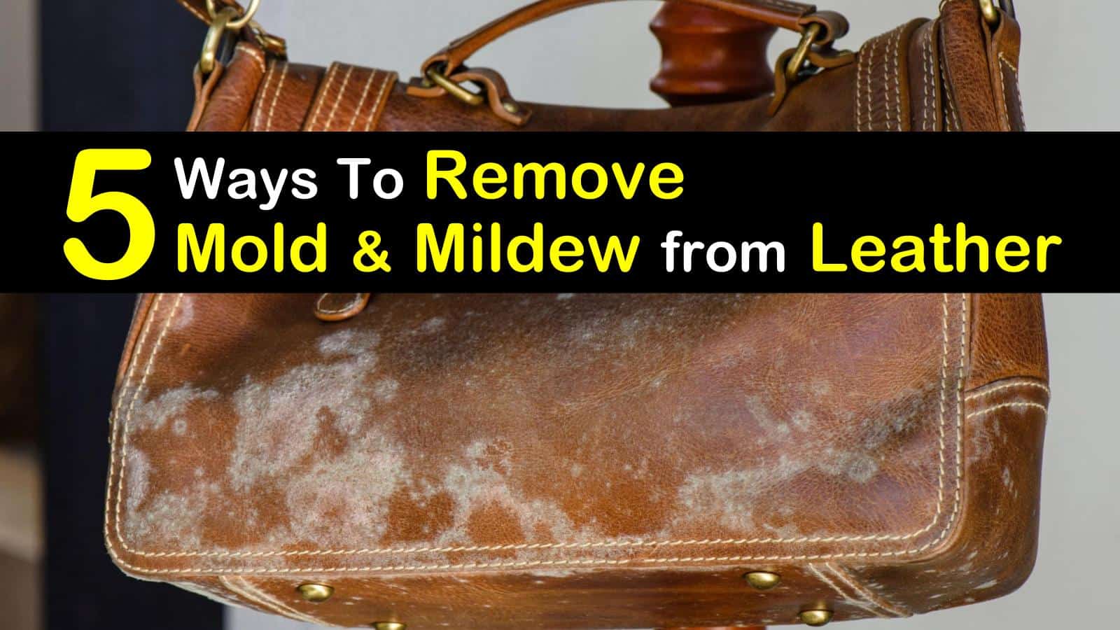 5 Quick &  Easy Ways to Remove Mold from Leather