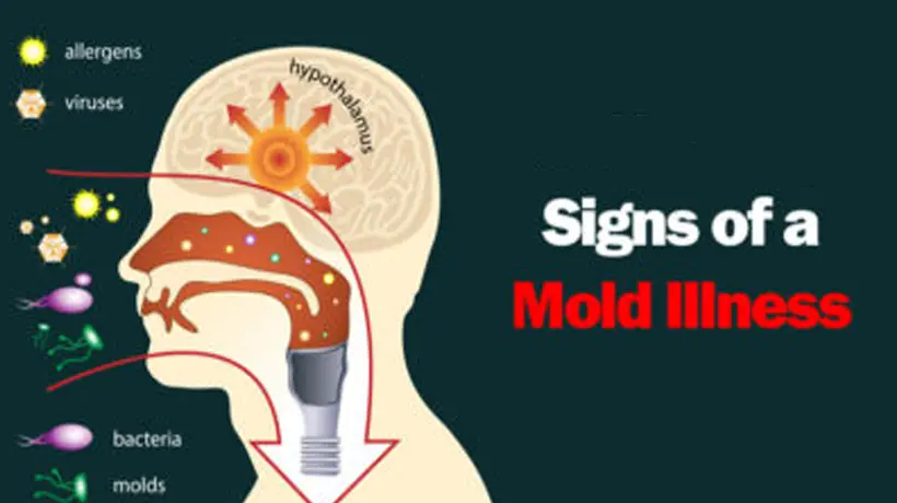 5 Signs of a Mold Illness