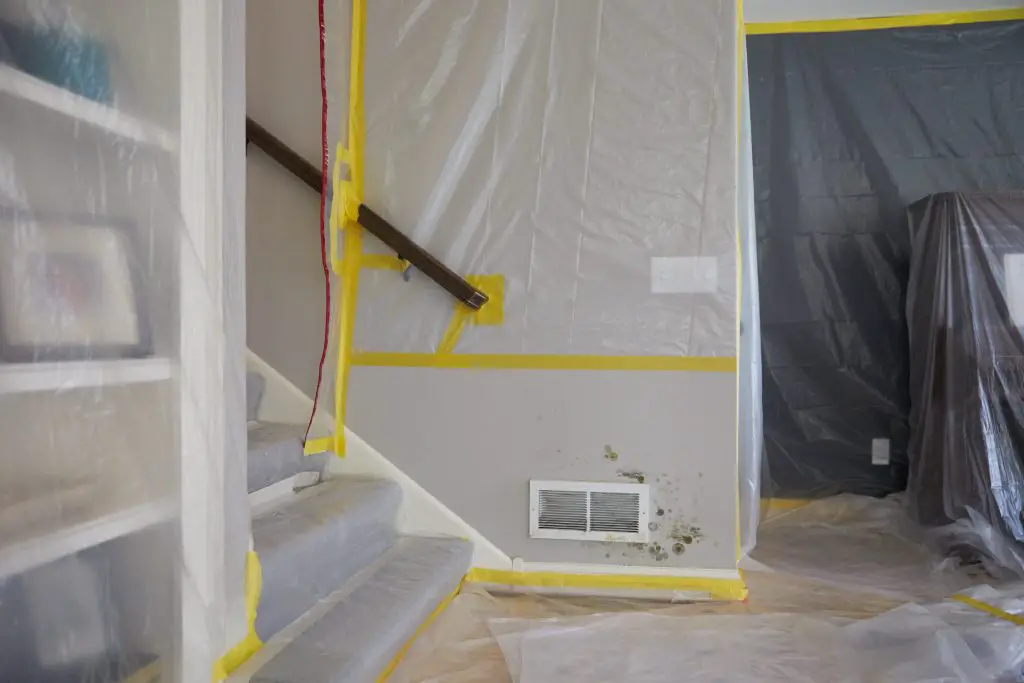5 Signs You Have Mold Inside Walls And How To Deal With It ...