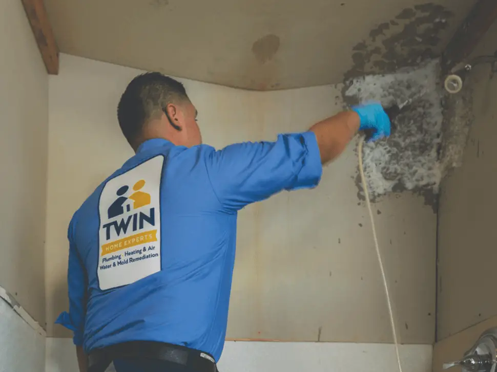 5 Signs You Have Mold Inside Walls And How To Deal With It