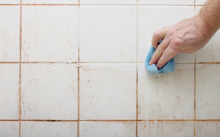 5 Simple Steps on How To Clean Shower Grout Mold