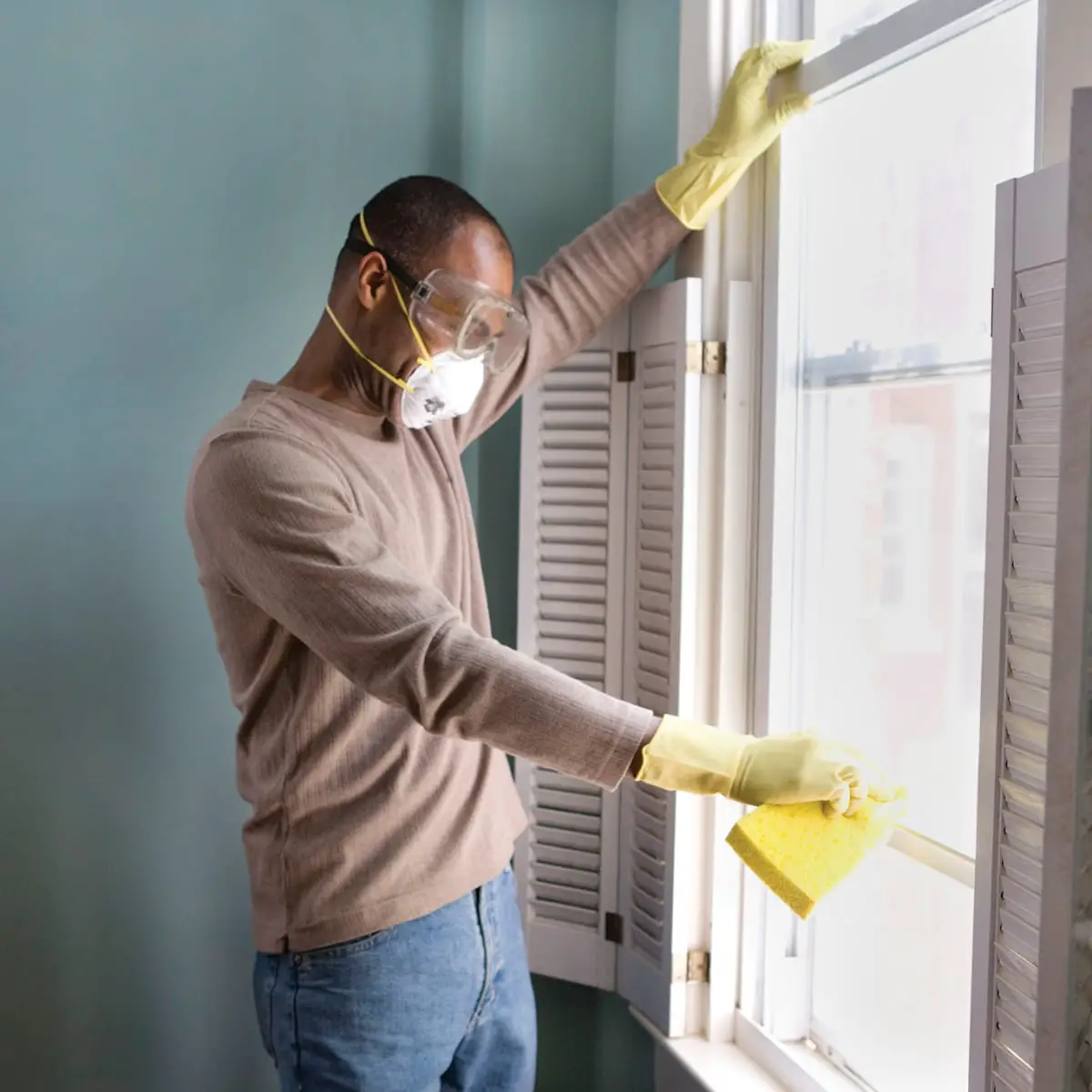 5 Useful Mold Remediation and Recovery Tips For House Owners