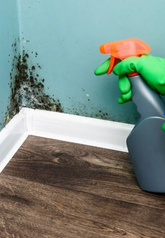 5 Ways to Get Rid of Mold in Your House for Good ...