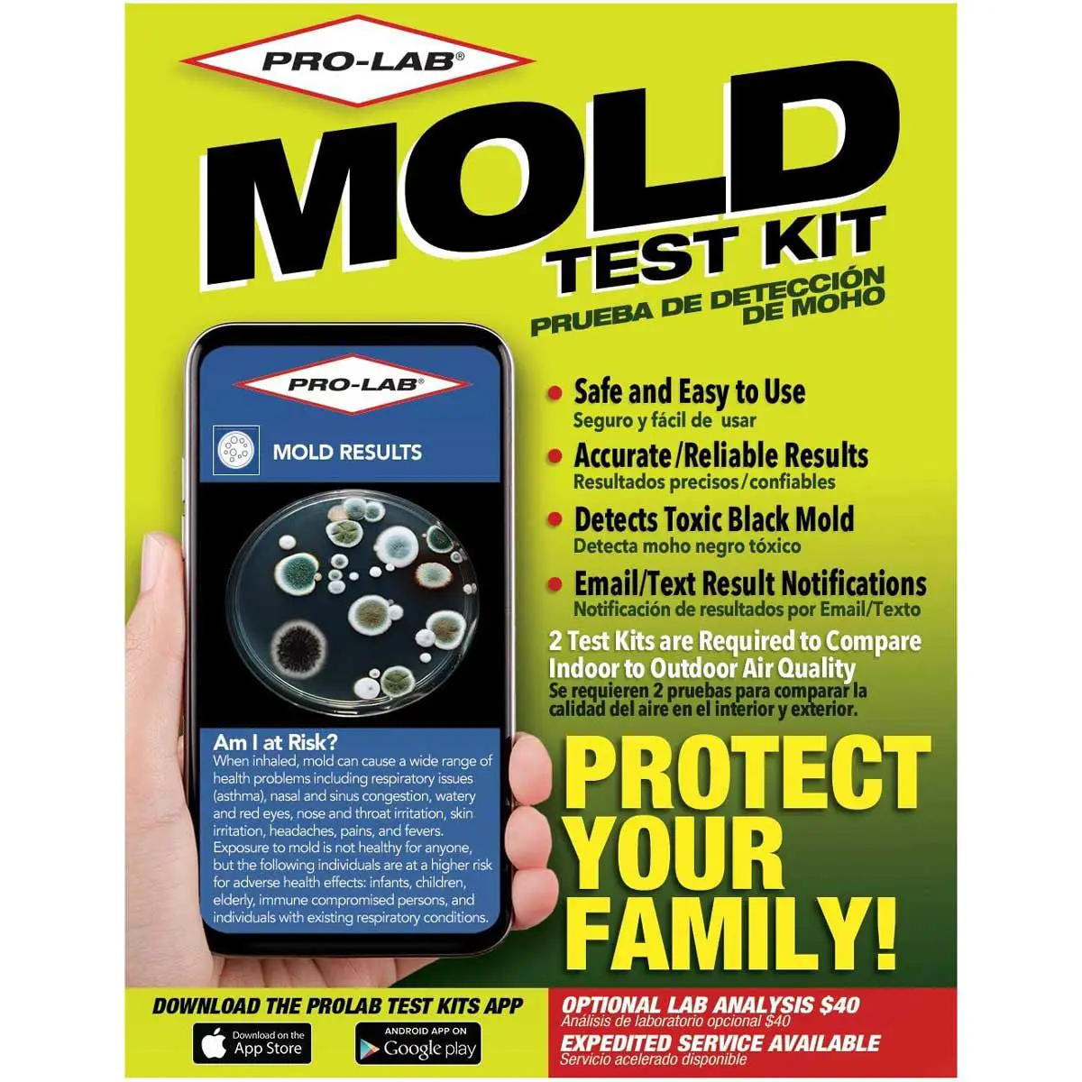 6 Best Mold Test Kits of 2022