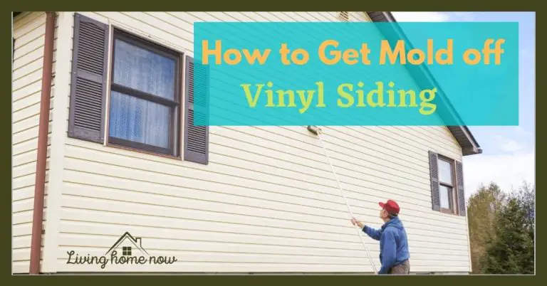 7 Easy Ways To Clean Mold Off Vinyl Siding