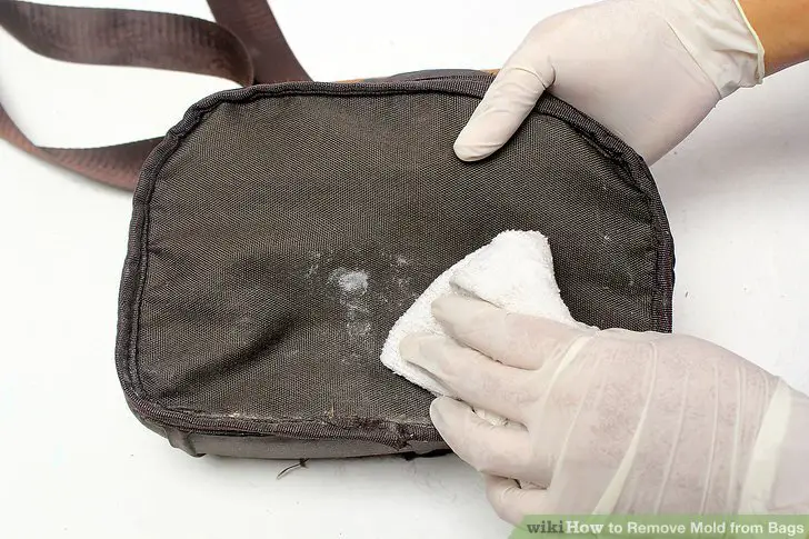 7 Ways to Remove Mold from Bags