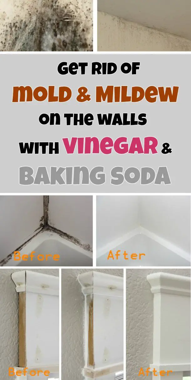 9 Shocking Bathroom Cleaning Tips Proven By Pros ...
