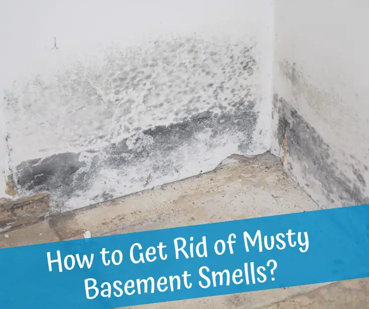 A musty smell in your basement is typically caused by mildew or mold ...