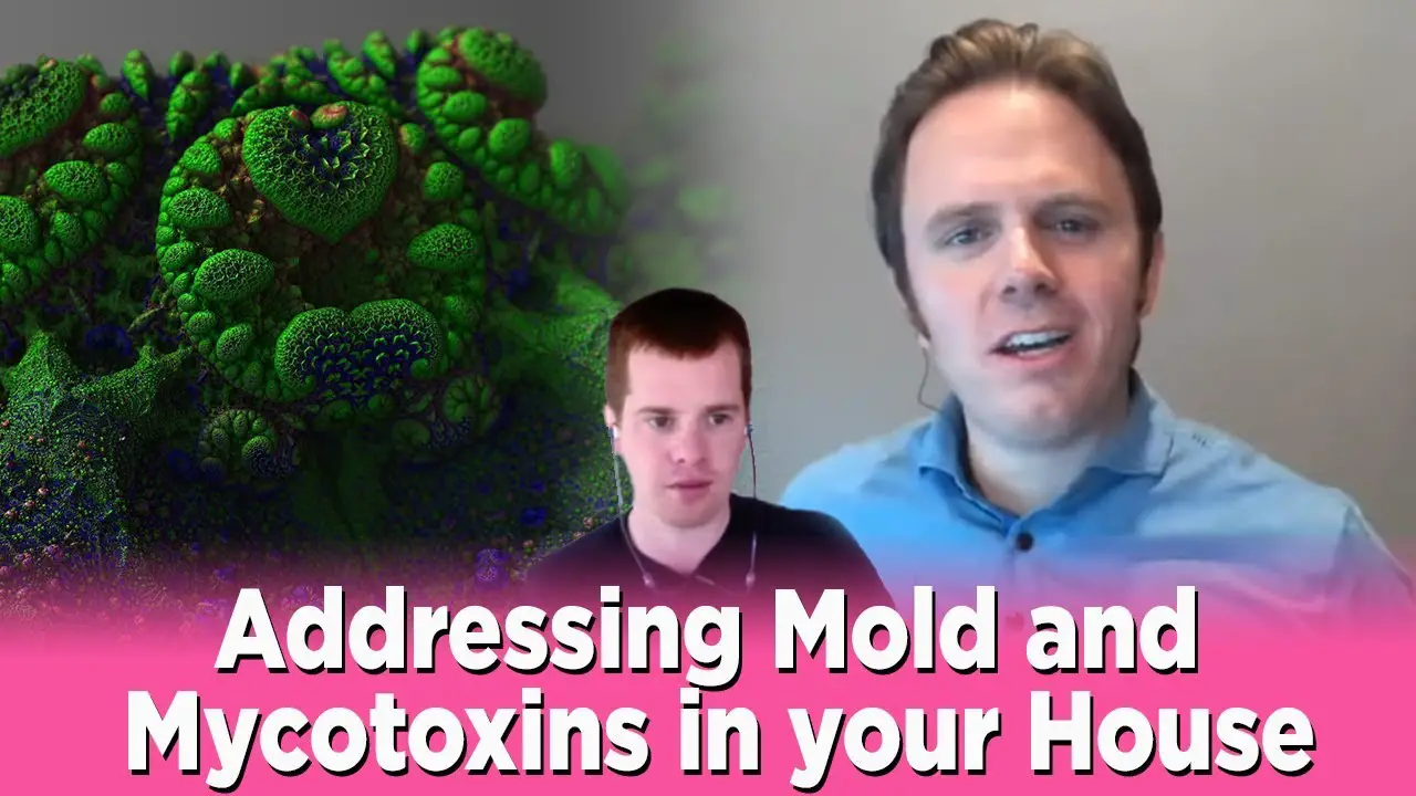 Addressing Mold and Mycotoxins in your House