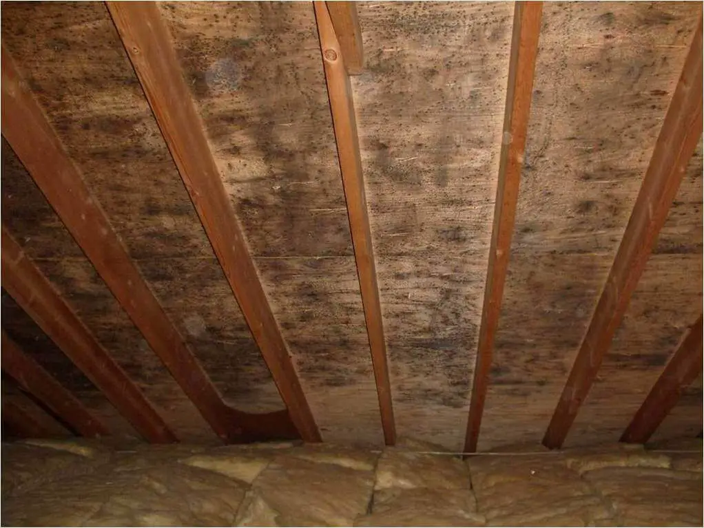 ATTIC AND ROOF PROBLEMS