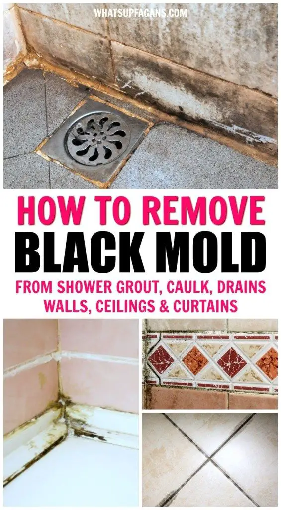 AWESOME TRICK: JUST SPRAY THIS MIXTURE AND YOULL NEVER ...
