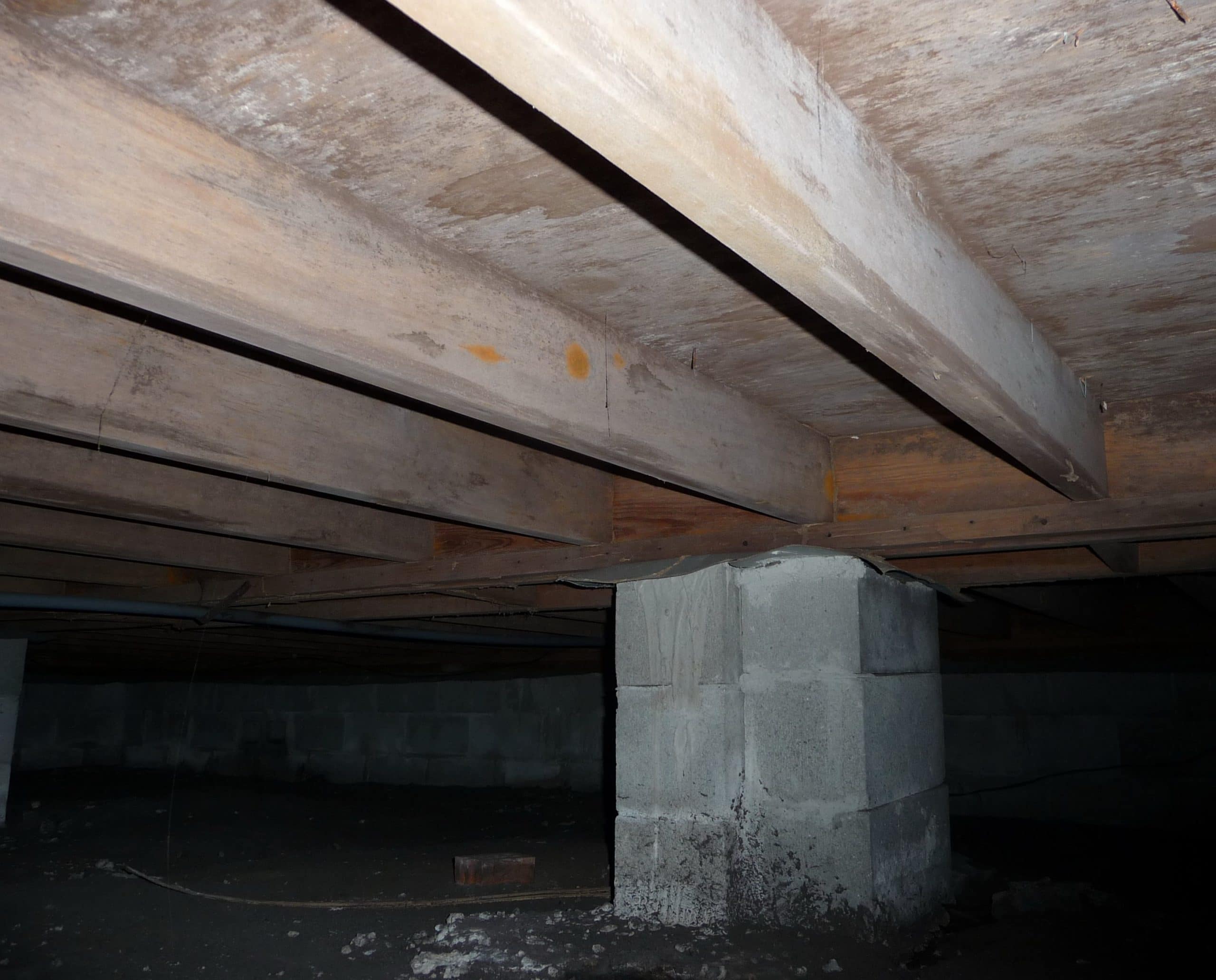 Basement &  Crawl Space Mold: Removal, Prevention, and ...