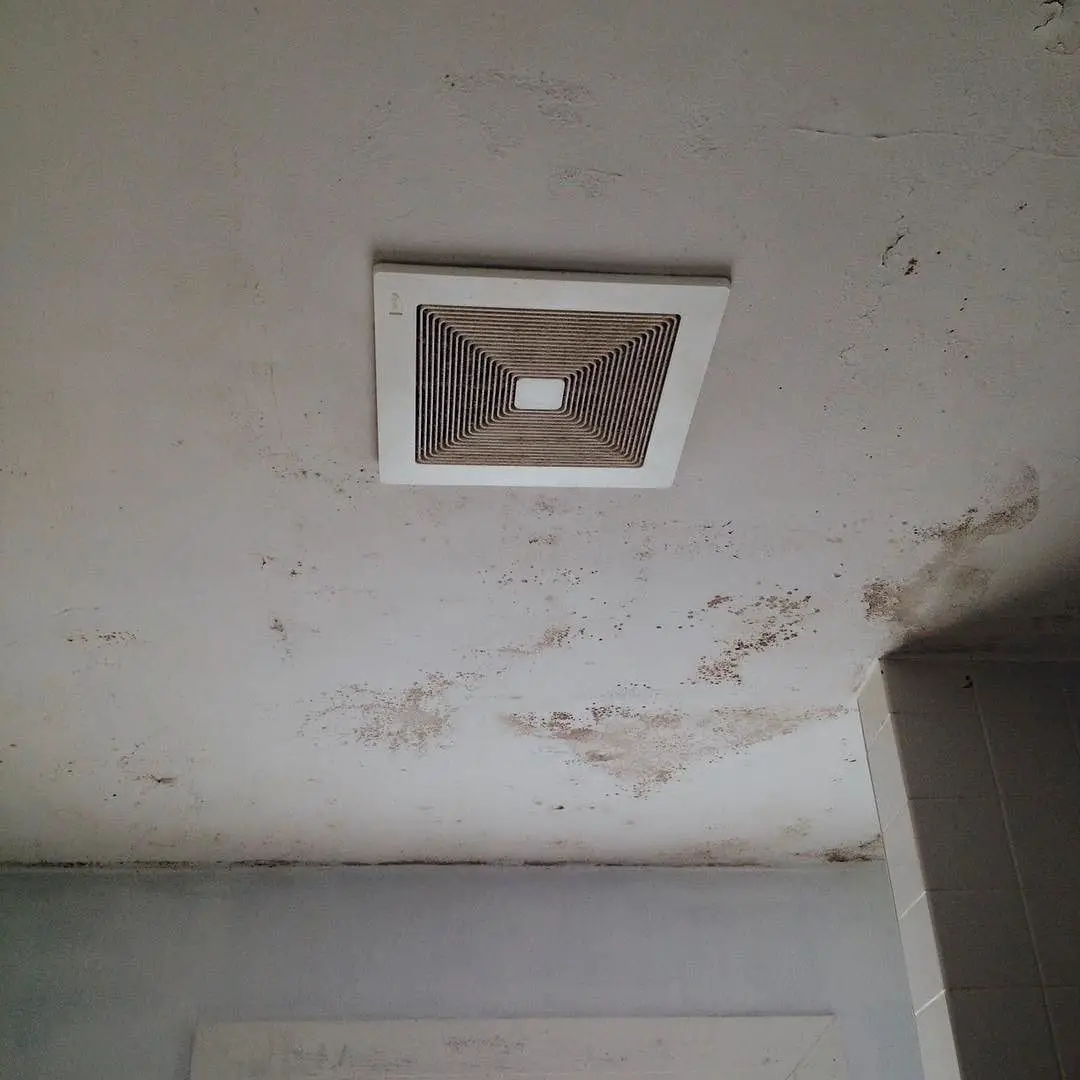Bathroom Ceiling Mold Removal #syracuseny #moldtesting #moldremoval # ...