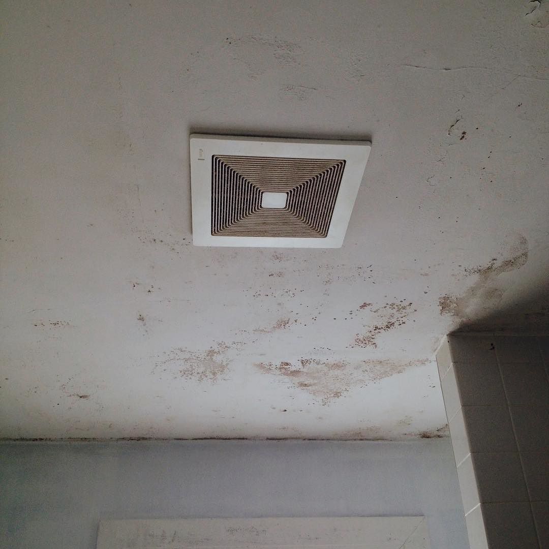 Bathroom Ceiling Mold Removal #syracuseny #moldtesting # ...