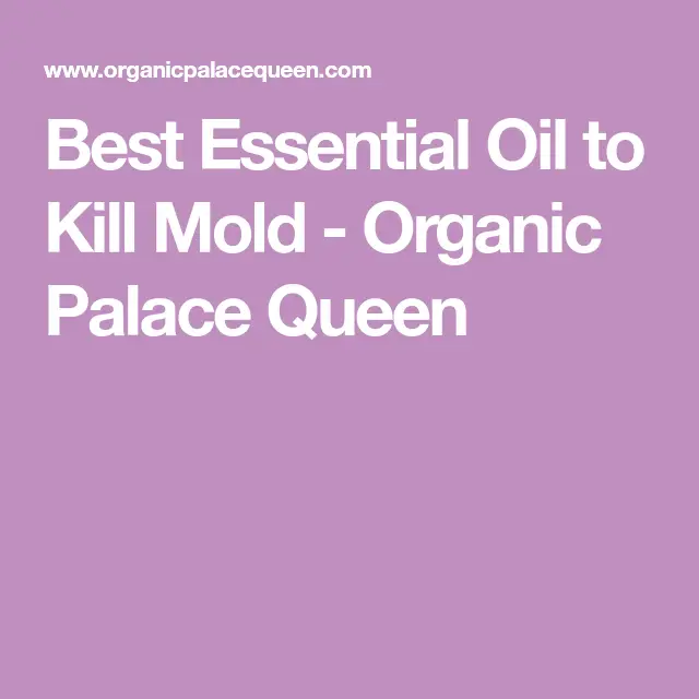 Best Essential Oil To Kill Mold