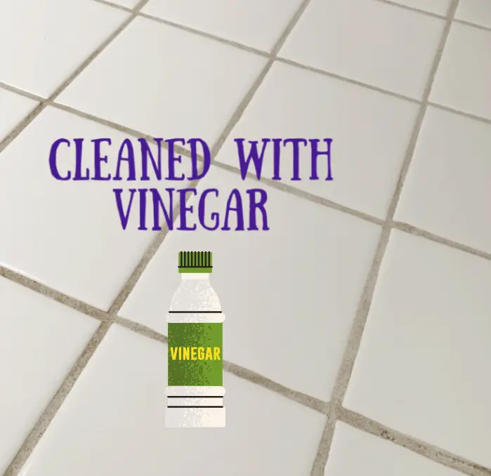 Best Methods to Clean Black Mold from Shower Tile and Grout  Cleaning ...