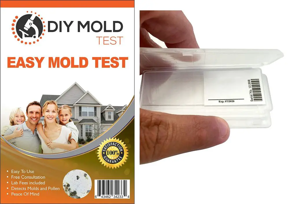 Best Mold Test Kits 2020