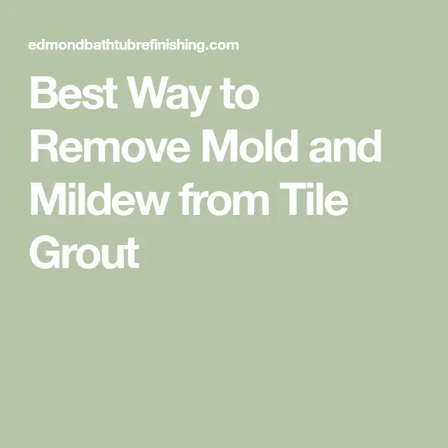 Best Way to Remove Mold and Mildew from Tile Grout