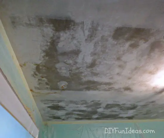 Best Way To Remove Mold From Popcorn Ceiling