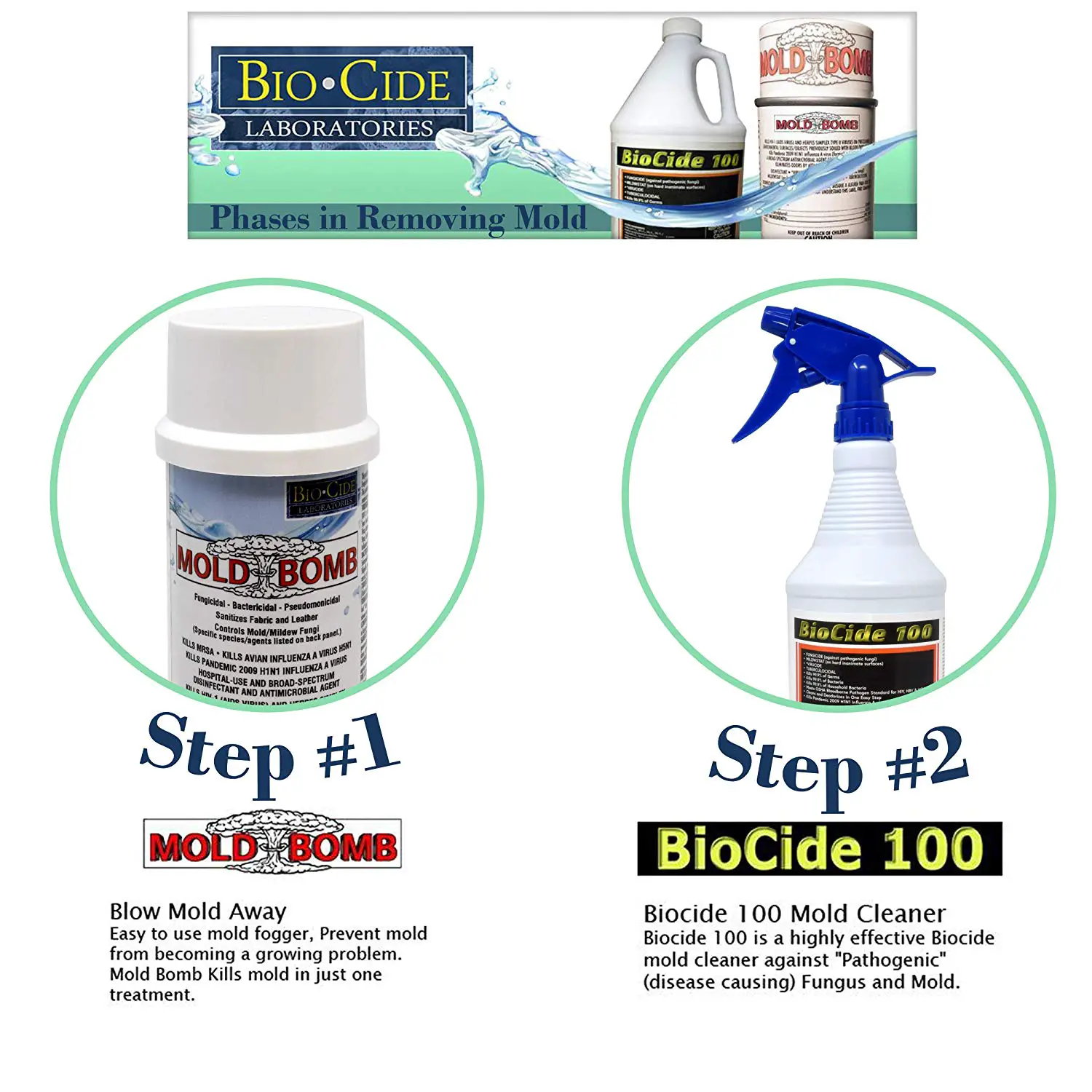 BioCide Mold and Mildew Stain Remover