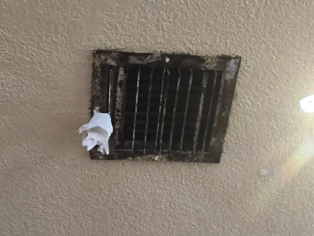 Black Mold Around Ceiling Vents