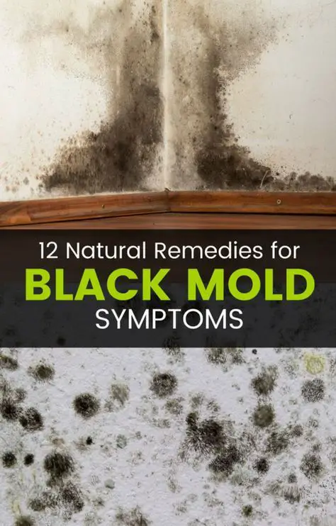 Black mold exposure and black mold poisoning can cause a ...