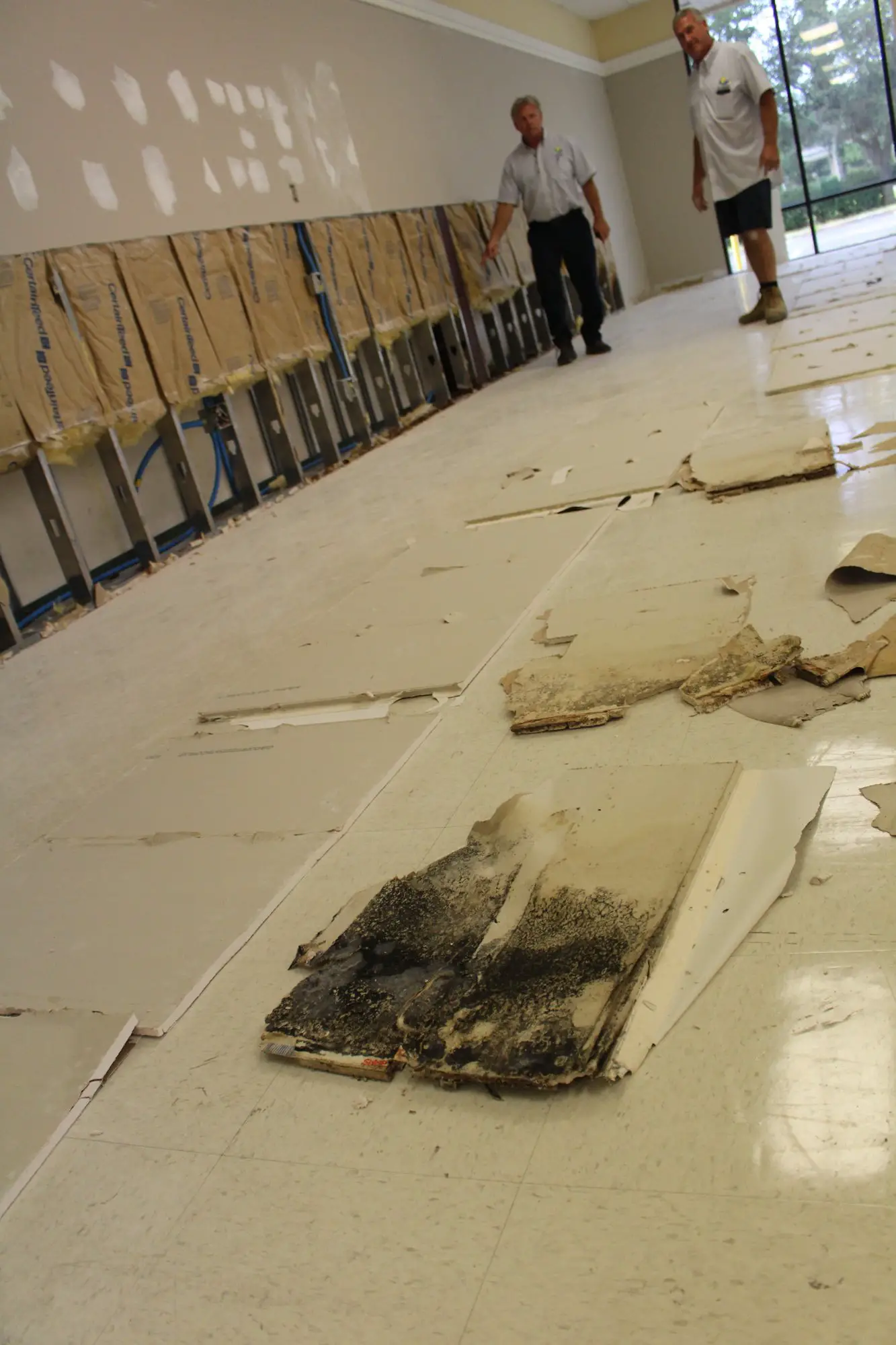 Black mold found in Sears building, which was planned as ...
