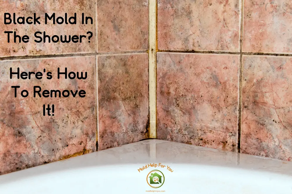 Black Mold In The Shower? Heres How To Remove It!