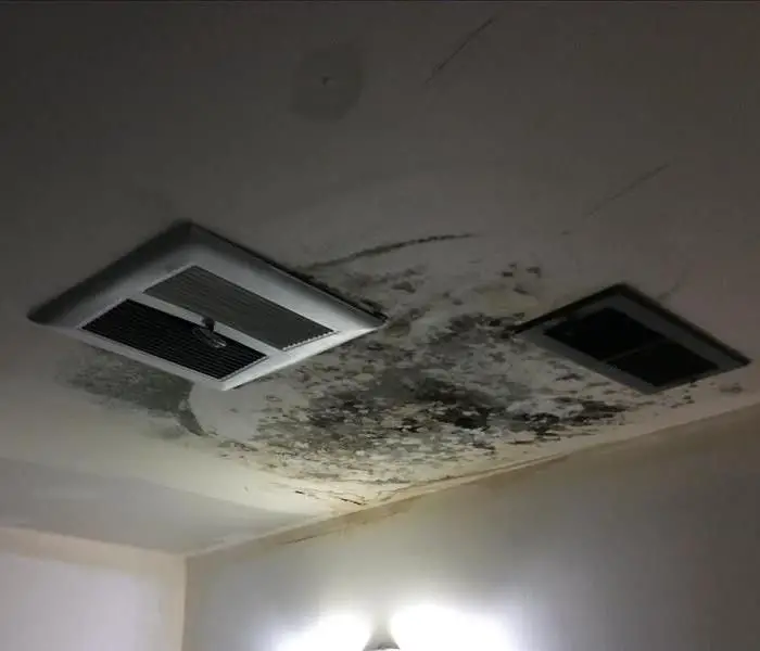 Black Mold on Ceiling of Residence. SERVPRO offer mold remediation ...