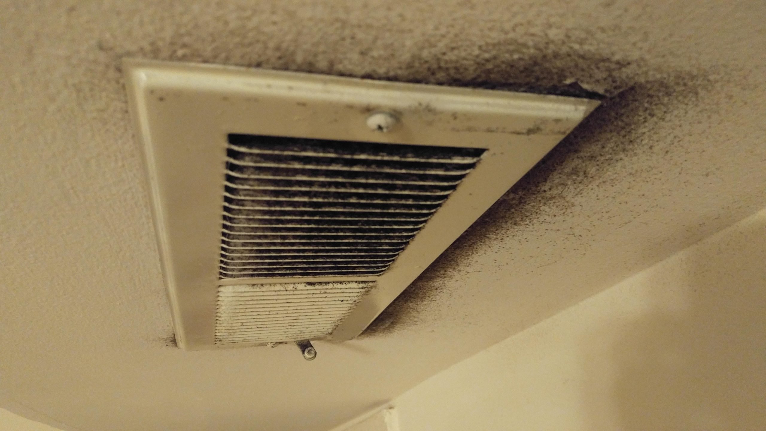 Black Mold On Ceiling Vents