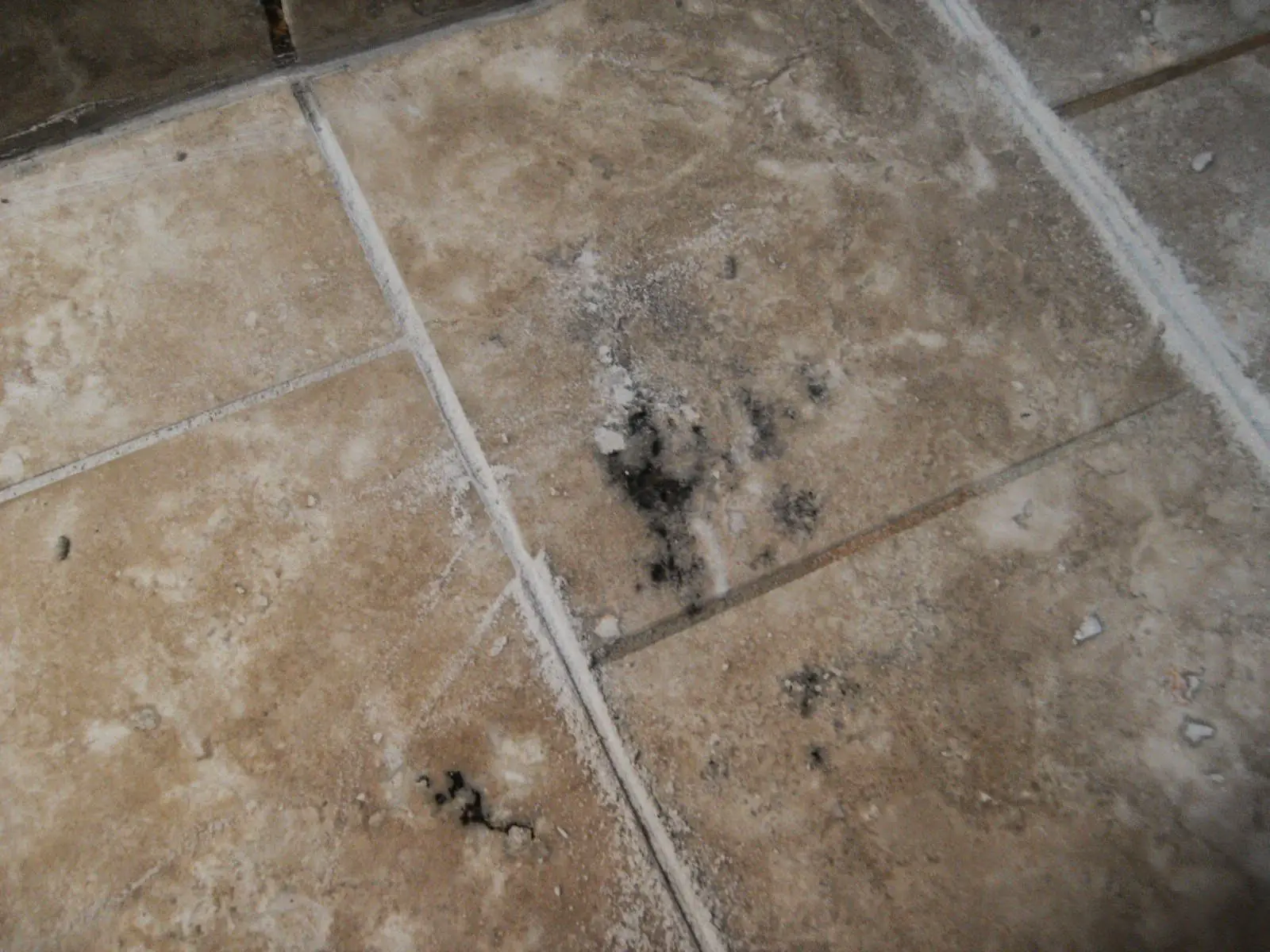 How To Get Rid Of Black Mold On Travertine MoldProTips
