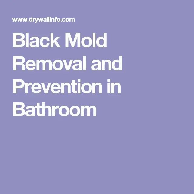 Black Mold Removal and Prevention in Bathroom