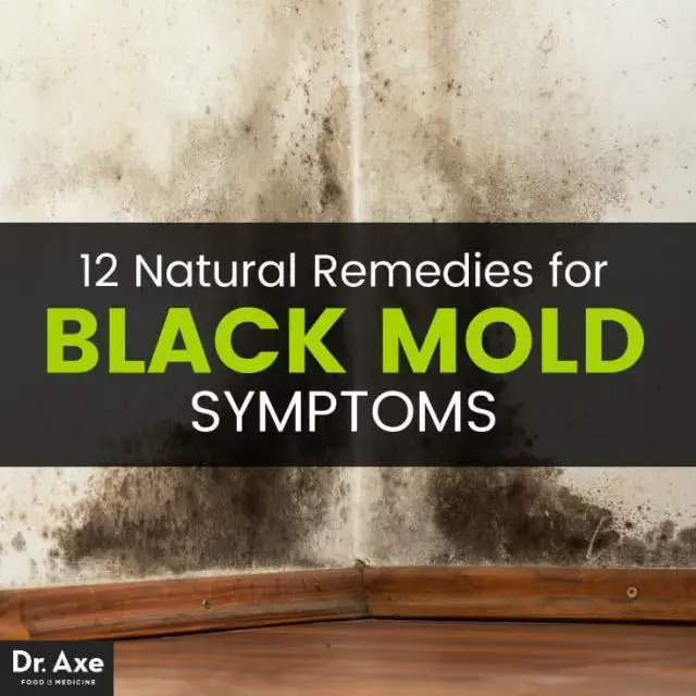 Black Mold Symptoms + 12 Natural Remedies
